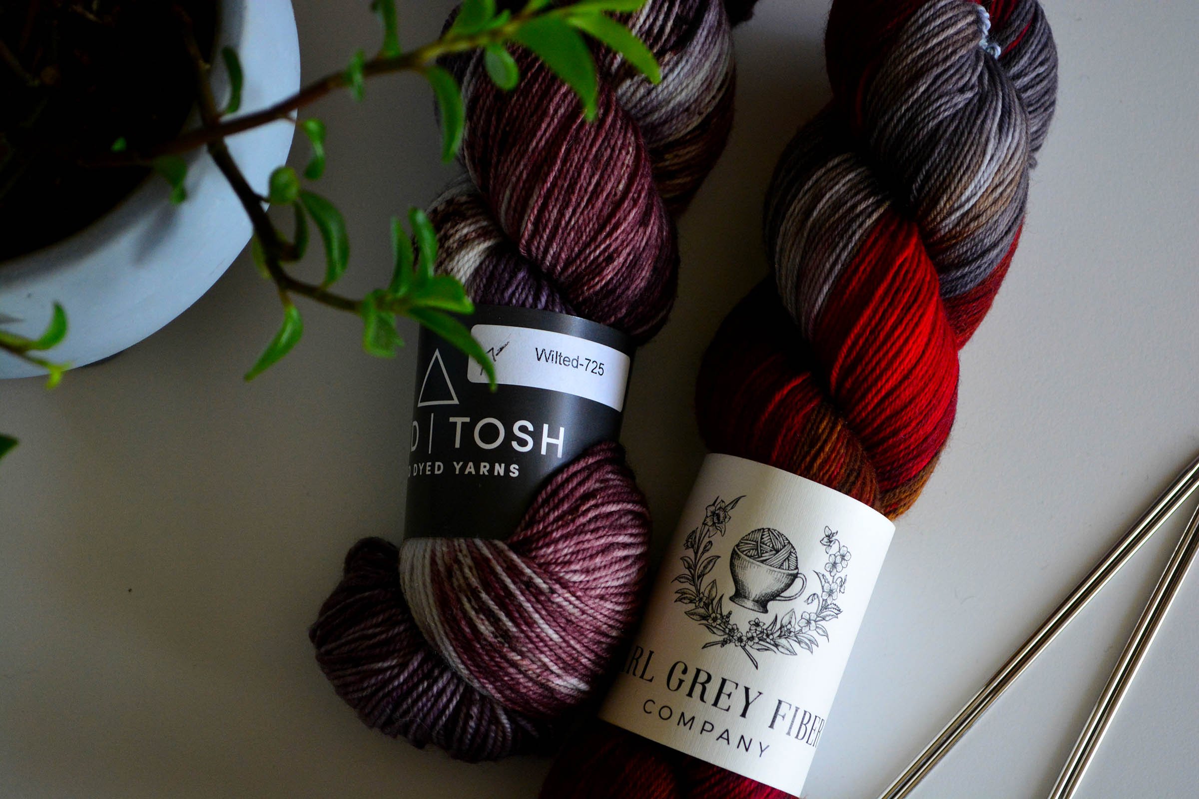 Yarn skeins and a plant